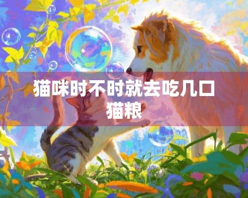 猫咪时不时就去吃几口猫粮