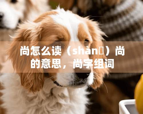 尚怎么读（shànɡ）尚的意思，尚字组词