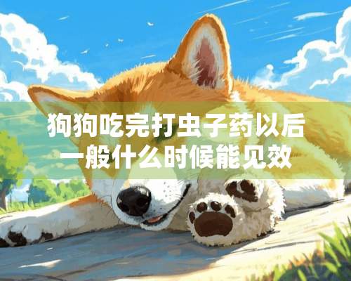 狗狗吃完打虫子药以后一般什么时候能见效