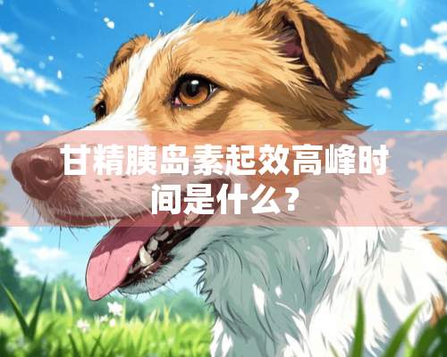 甘精胰岛素起效高峰时间是什么？