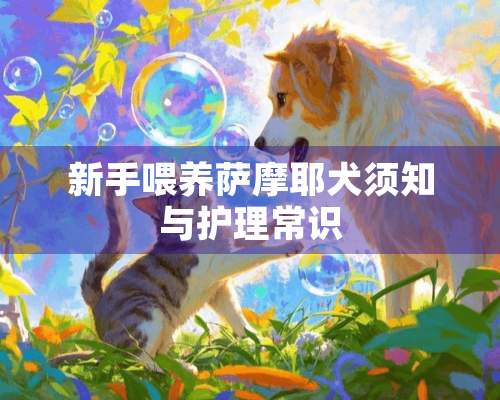 新手喂养萨摩耶犬须知与护理常识