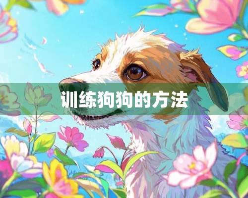 训练狗狗的方法