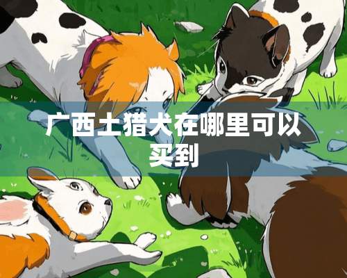 广西土猎犬在哪里可以买到