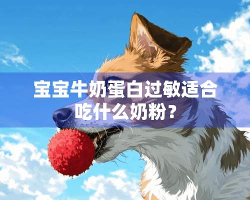 宝宝牛奶蛋白过敏适合吃什么奶粉？