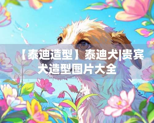 【泰迪造型】泰迪犬|贵宾犬造型图片大全