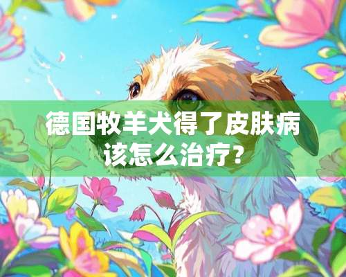 德国牧羊犬得了皮肤病该怎么治疗？