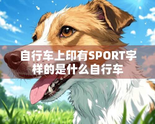 自行车上印有SPORT字样的是什么自行车