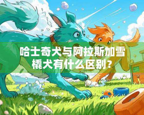 哈士奇犬与阿拉斯加雪橇犬有什么区别？