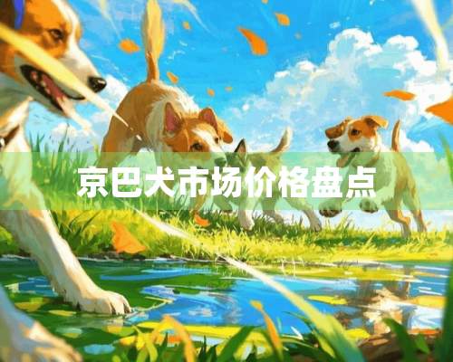 京巴犬市场价格盘点