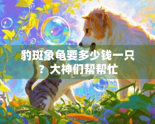 豹斑象龟要多少钱一只？大神们帮帮忙