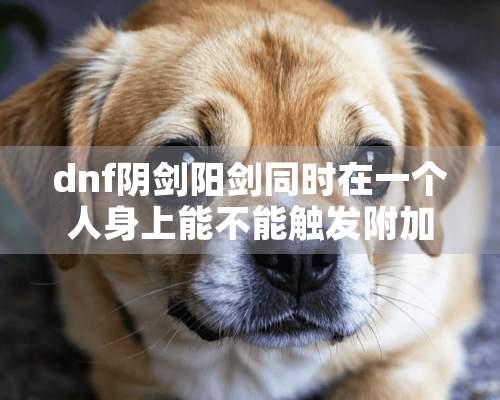 dnf*剑阳剑同时在一个人身上能不能触发附加属性