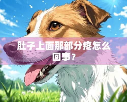 肚子上面那部分疼怎么回事？