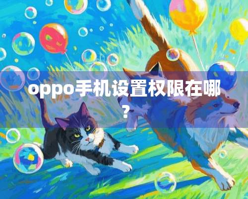 oppo手机设置权限在哪？