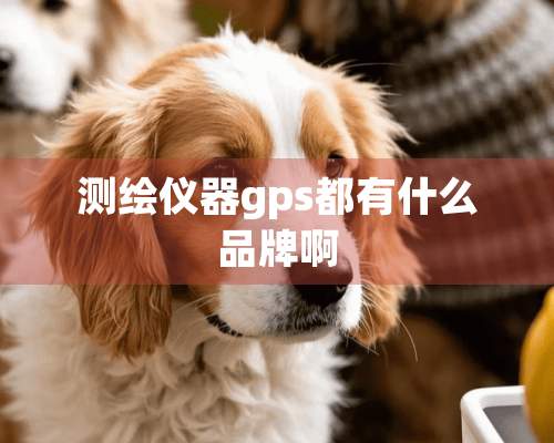 测绘仪器gps都有什么品牌啊