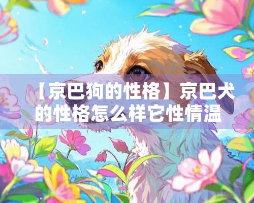 【京巴狗的性格】京巴犬的性格怎么样它性情温顺吗