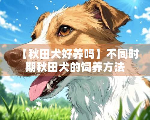 【秋田犬好养吗】不同时期秋田犬的饲养方法