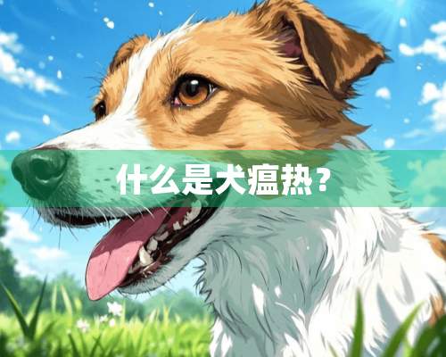 什么是犬瘟热？