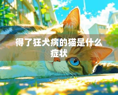 得了狂犬病的猫是什么症状