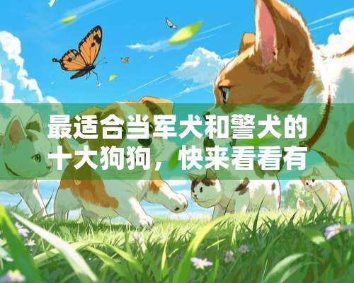 最适合当军犬和警犬的十大狗狗，快来看看有没