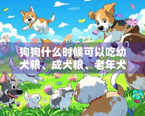 狗狗什么时候可以吃幼犬粮、成犬粮、老年犬粮