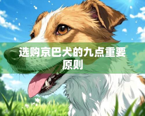 选购京巴犬的九点重要原则