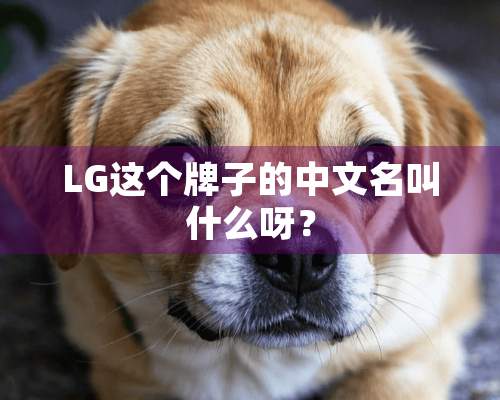 LG这个牌子的中文名叫什么呀？