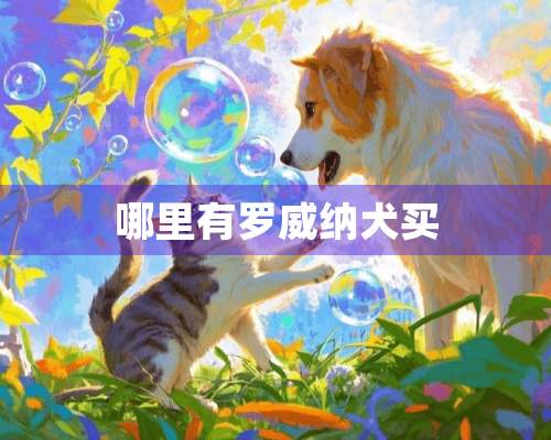 哪里有罗威纳犬买