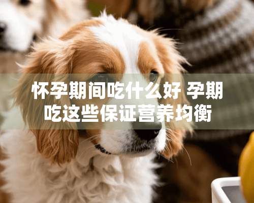 怀孕期间吃什么好 孕期吃这些保证营养均衡