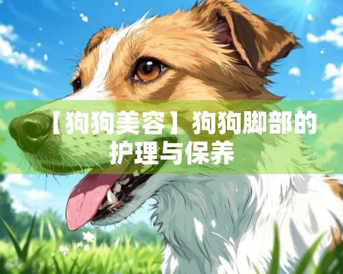 【狗狗美容】狗狗脚部的护理与保养