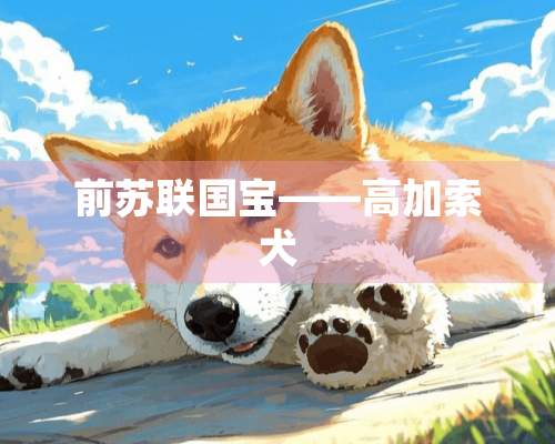 前苏联国宝——高加索犬