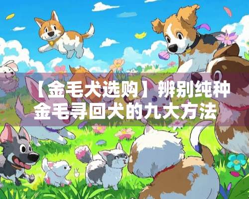 【金毛犬选购】辨别纯种金毛寻回犬的九大方法