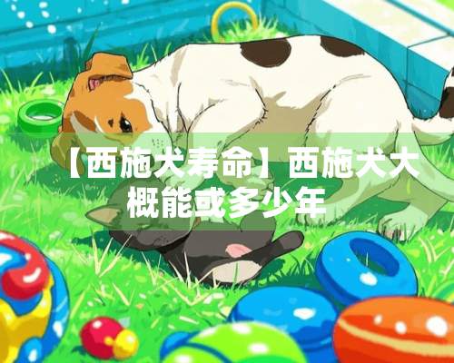 【西施犬寿命】西施犬大概能或多少年