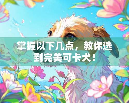 掌握以下几点，教你选到完美可卡犬！