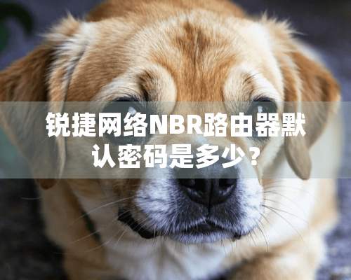 锐捷网络NBR路由器默认密码是多少？