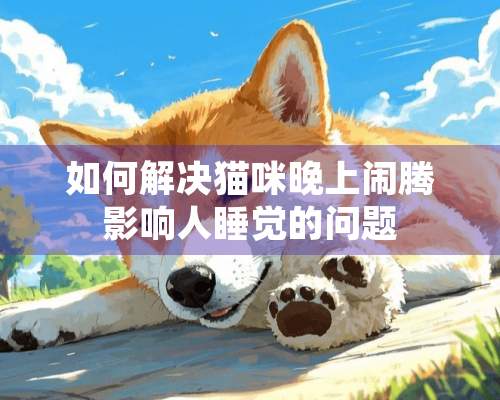 如何解决猫咪晚上闹腾影响人睡觉的问题