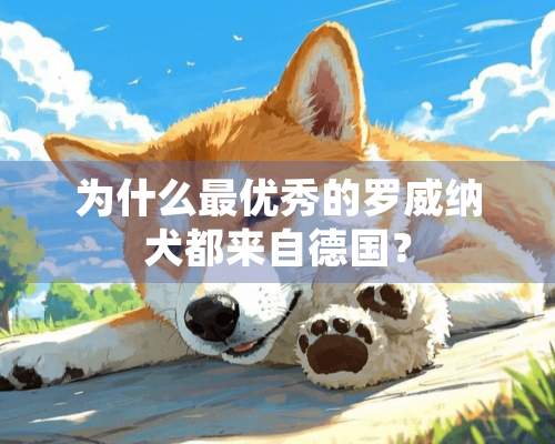 为什么最优秀的罗威纳犬都来自德国？