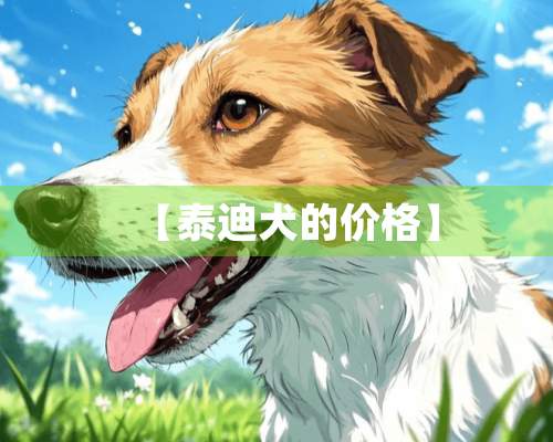 【泰迪犬的价格】