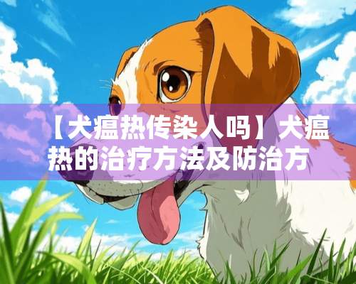 【犬瘟热传染人吗】犬瘟热的治疗方法及防治方法