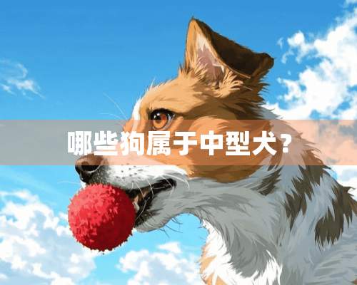 哪些狗属于中型犬？