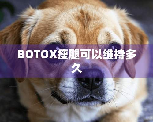 BOTOX瘦腿可以维持多久