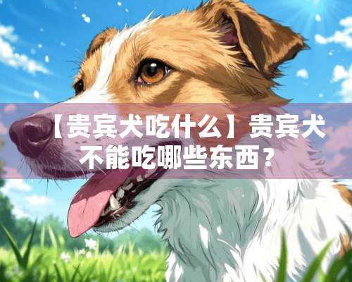 【贵宾犬吃什么】贵宾犬不能吃哪些东西？