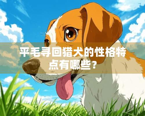 平毛寻回猎犬的性格特点有哪些？