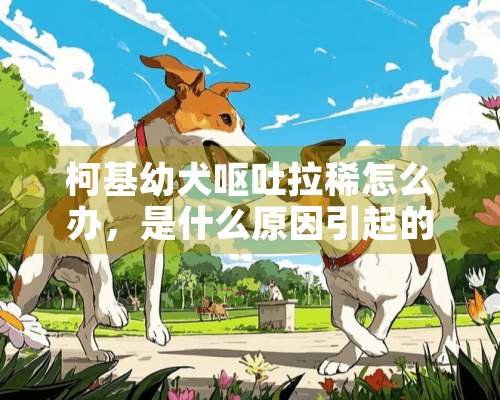 柯基幼犬呕吐拉稀怎么办，是什么原因引起的