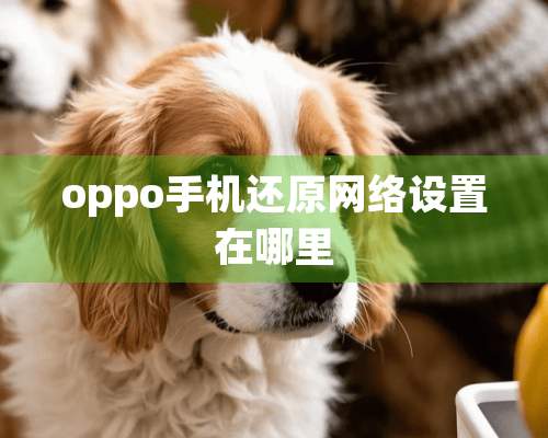 oppo手机还原网络设置在哪里