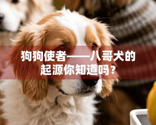 狗狗使者——八哥犬的起源你知道吗？