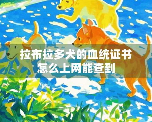 拉布拉多犬的血统证书怎么上网能查到