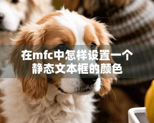 在mfc中怎样设置一个静态文本框的颜色