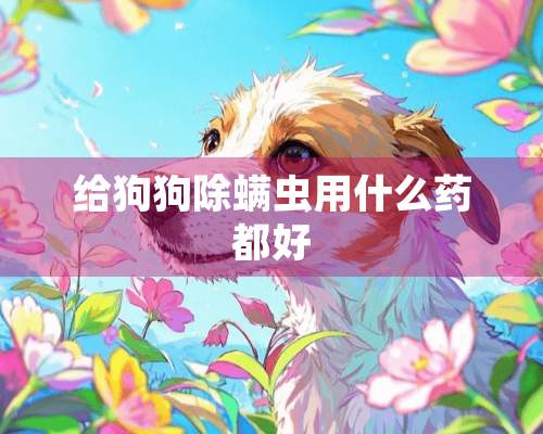 给狗狗除螨虫用什么药都好