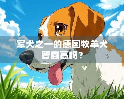 军犬之一的德国牧羊犬智商高吗？