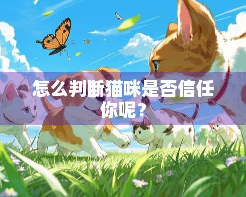 怎么判断猫咪是否信任你呢？